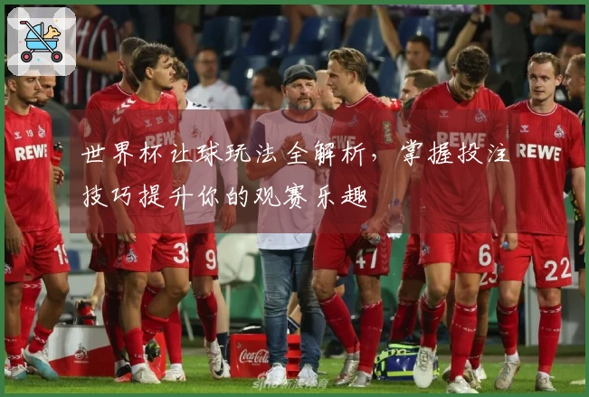世界杯让球玩法全解析，掌握投注技巧提升你的观赛乐趣