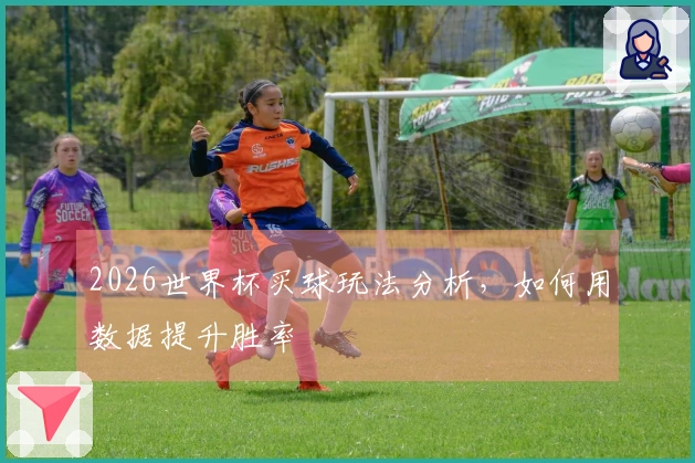 2026世界杯买球玩法分析，如何用数据提升胜率