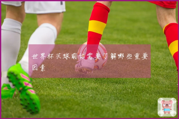 世界杯买球前你需要了解哪些重要因素