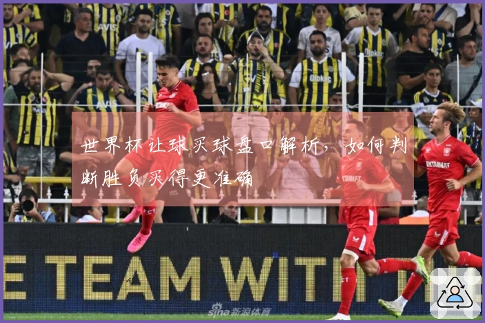 世界杯让球买球盘口解析，如何判断胜负买得更准确