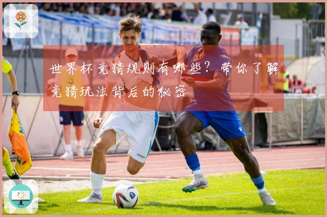 世界杯竞猜规则有哪些？带你了解竞猜玩法背后的秘密