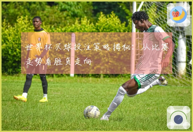 世界杯买球投注策略揭秘：从比赛走势看胜负走向