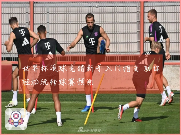 世界杯滚球竞猜新手入门指南 助你轻松玩转球赛预测